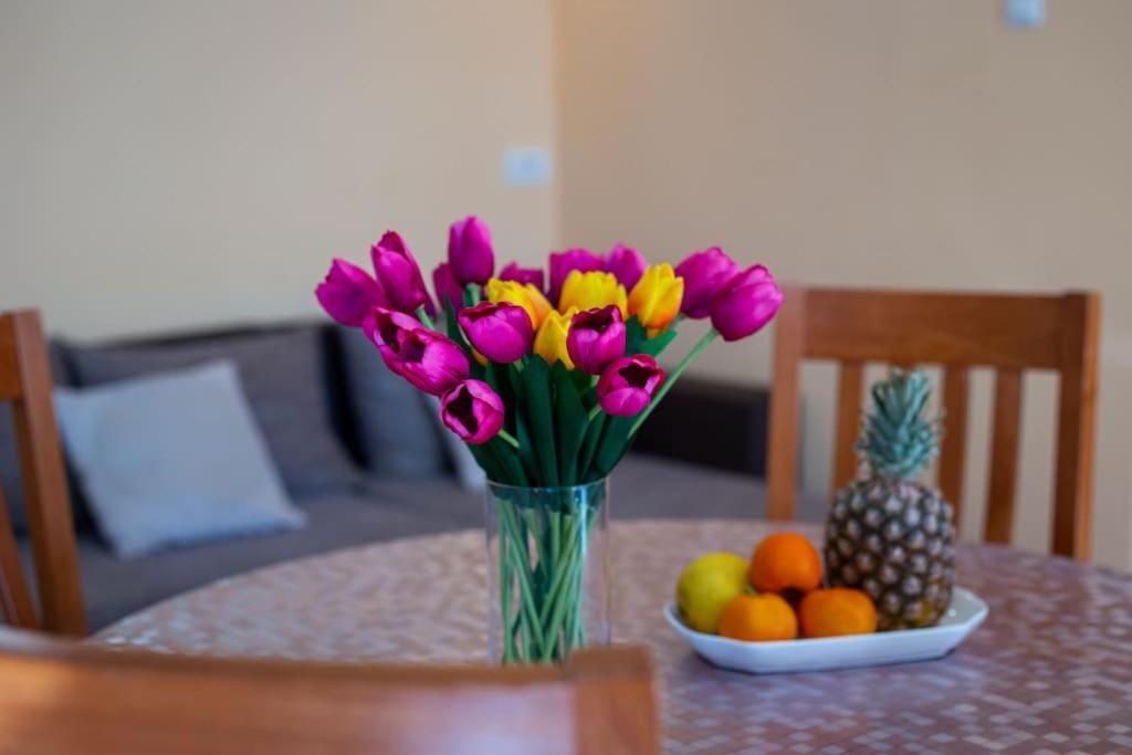 Dr. Jo~ 2 Bedroom With Free Parking ~ Lägenhet Dubrovnik